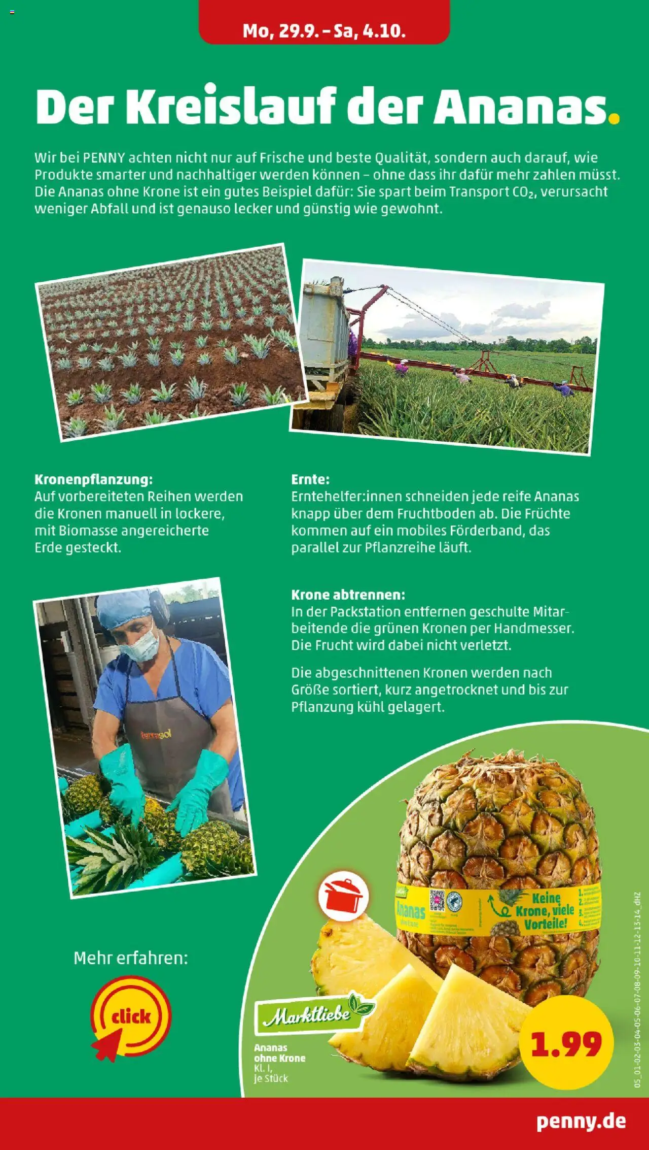Penny Prospekt 	 – gültig ab 29.09.2025 | Seite: 5 | Produkte: Ananas