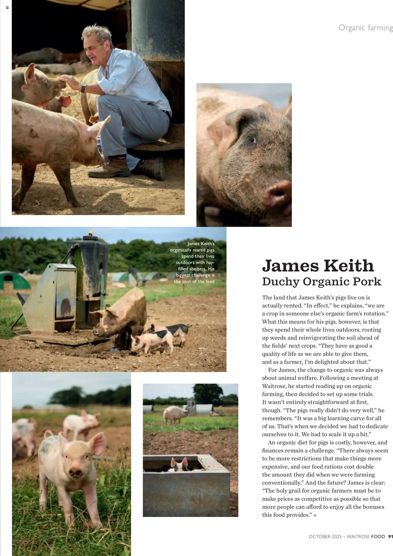  | Page: 91 | Products: Pork