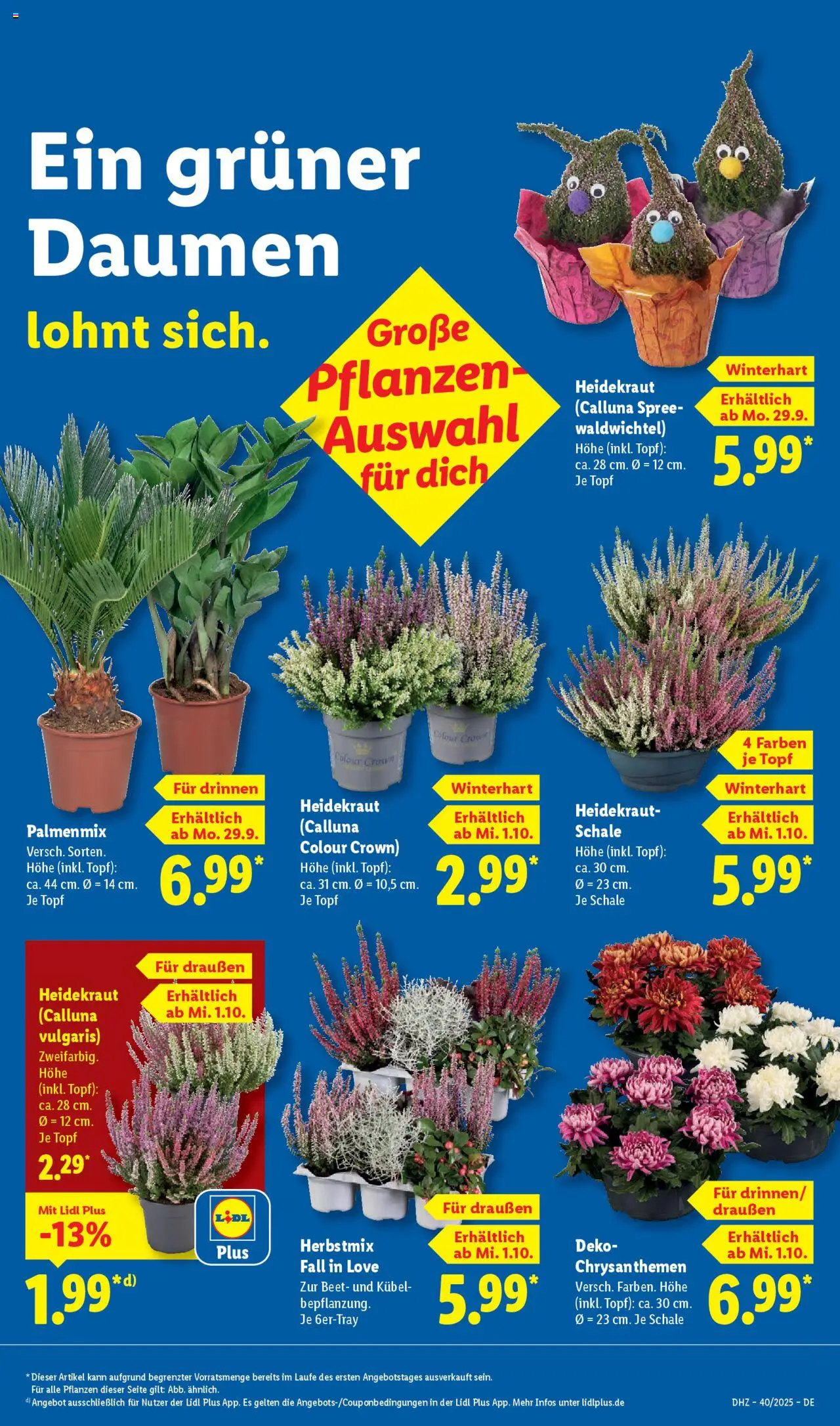 Lidl Prospekt Uffenheim – gültig ab 29.09.2025 | Seite: 11
