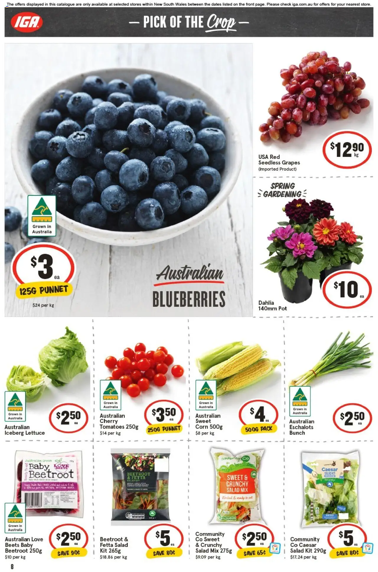 IGA catalogue - valid from 01.10.2025 | Page: 8 | Products: Pot, Tomatoes, Salad, Grapes