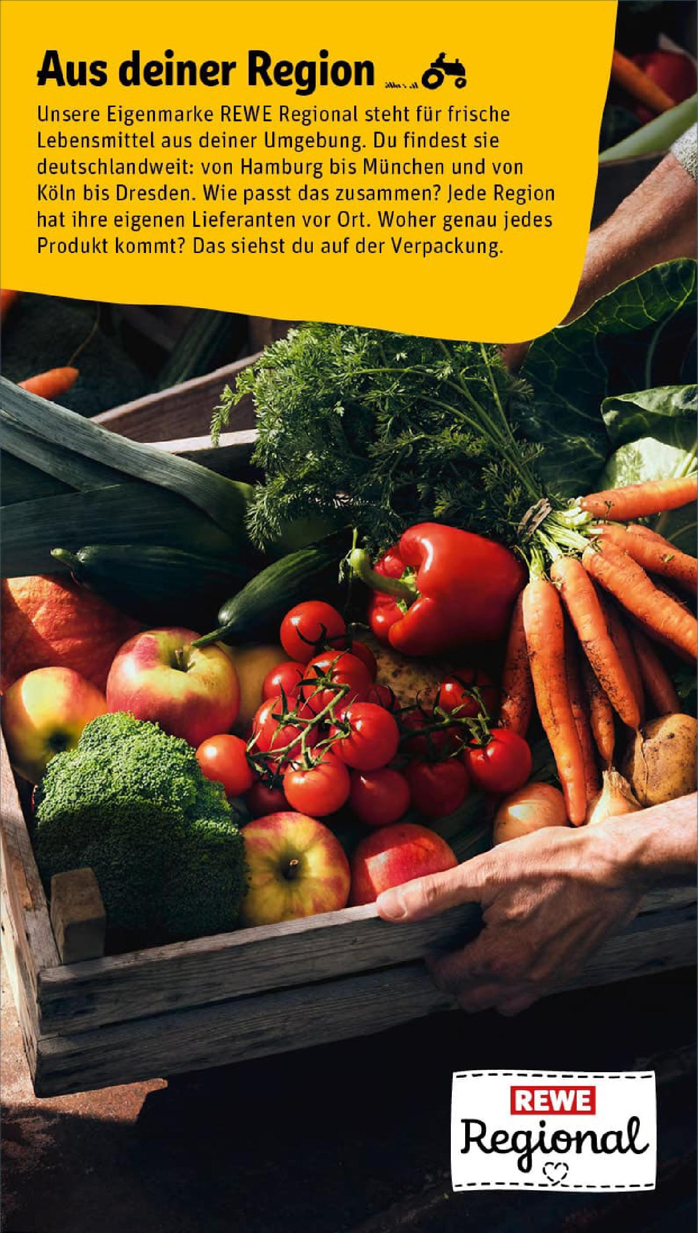 REWE Prospekt ab 14.09.2025 zum Blättern » Angebote | Seite: 24