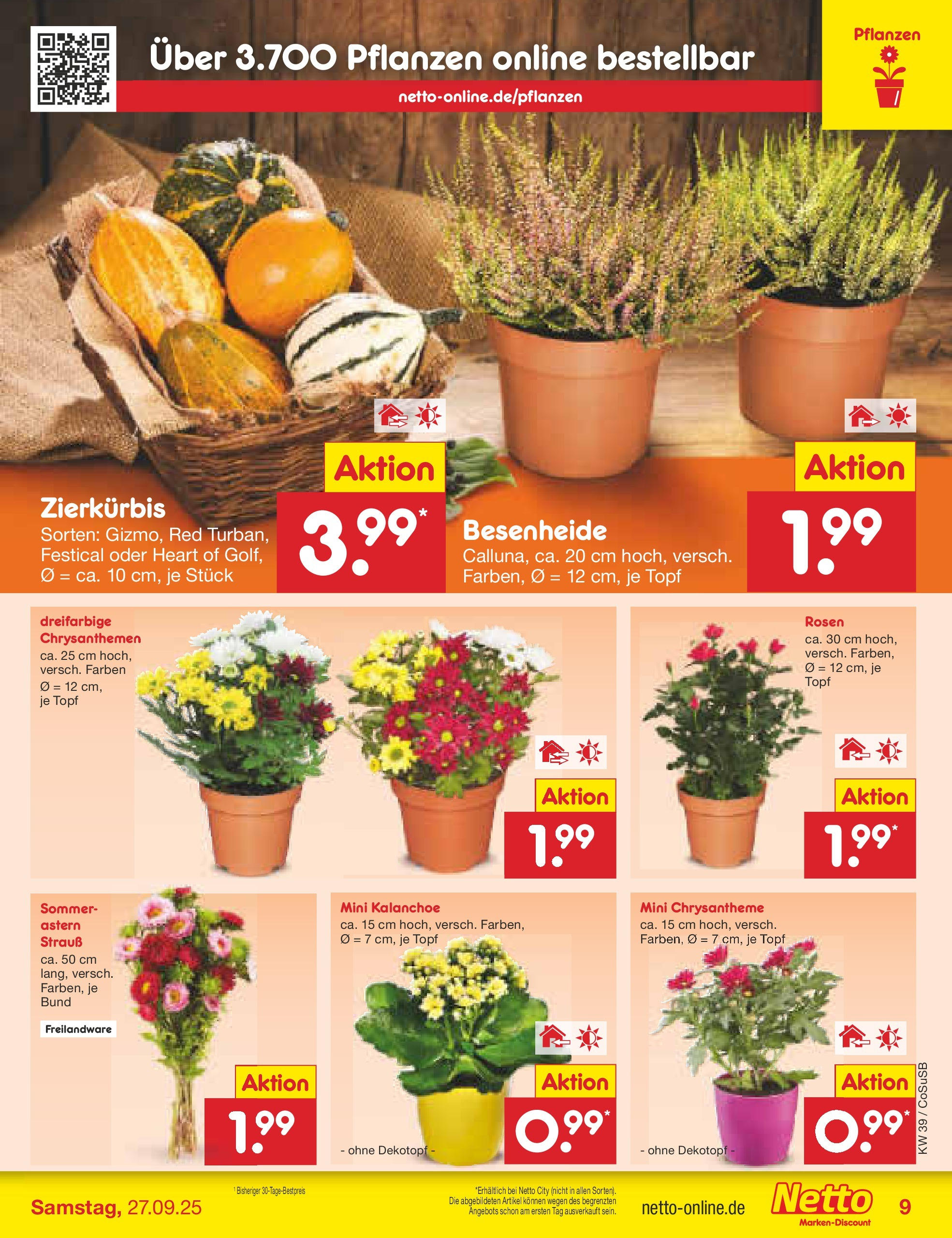 Netto Marken-Discount prospekt Bitterfeld-Wolfen	 (ab 21.09.2025) » Angebote | Seite: 9