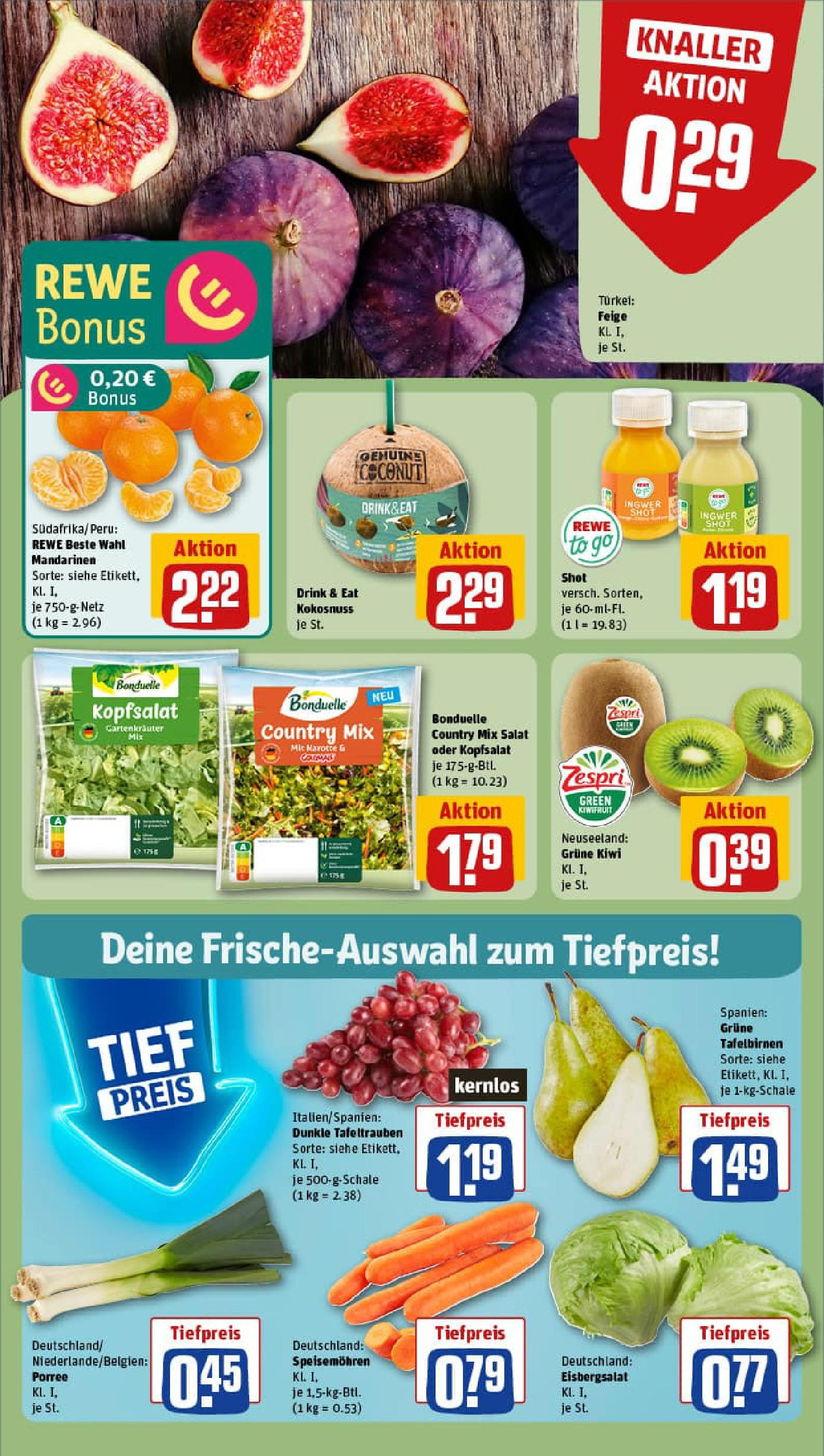 REWE Prospekt ab 21.09.2025 zum Blättern » Angebote | Seite: 10 | Produkte: Mandarinen, Eisbergsalat, Kiwi, Salat