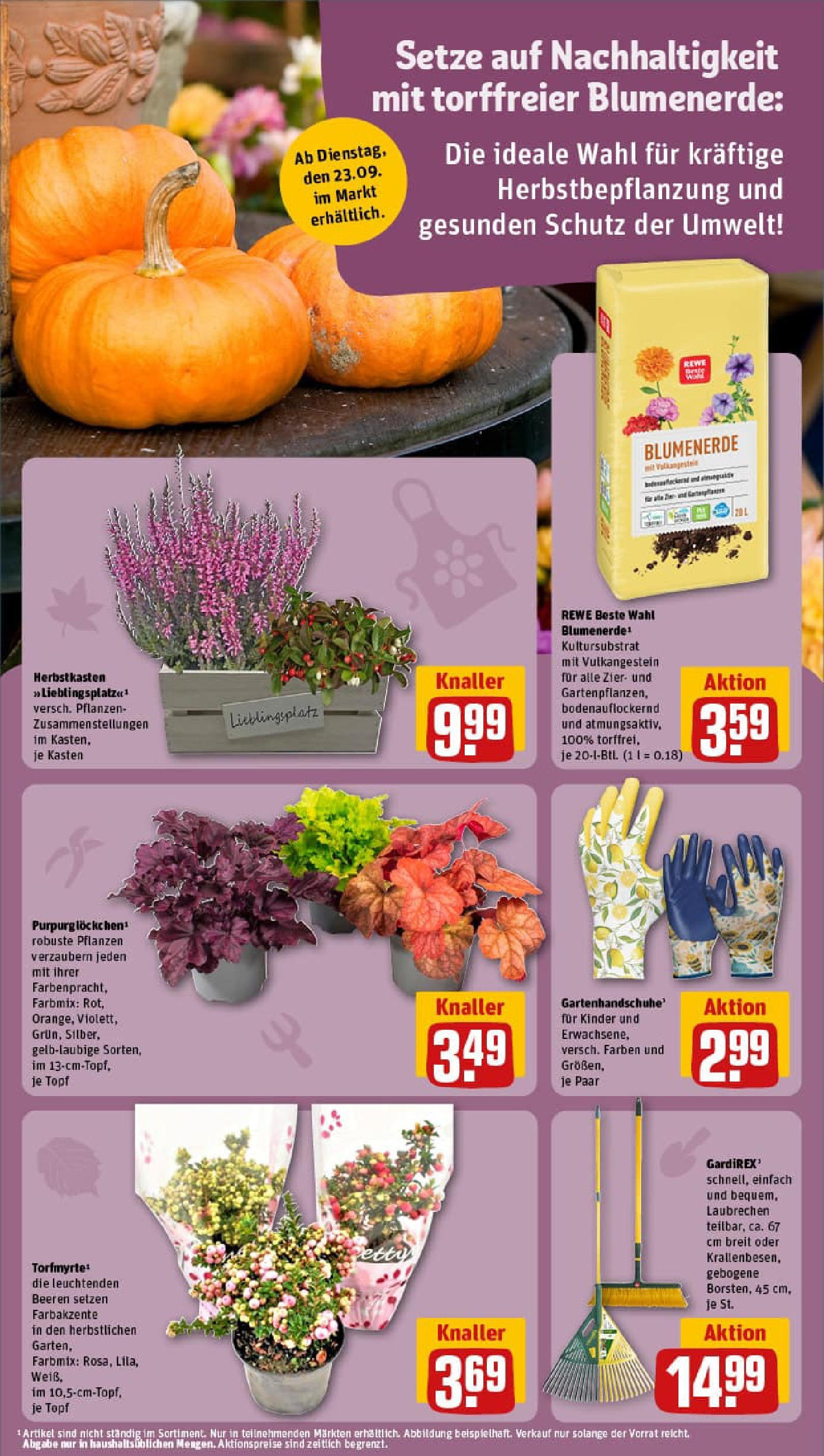 REWE Prospekt ab 21.09.2025 zum Blättern » Angebote | Seite: 15 | Produkte: Blumenerde