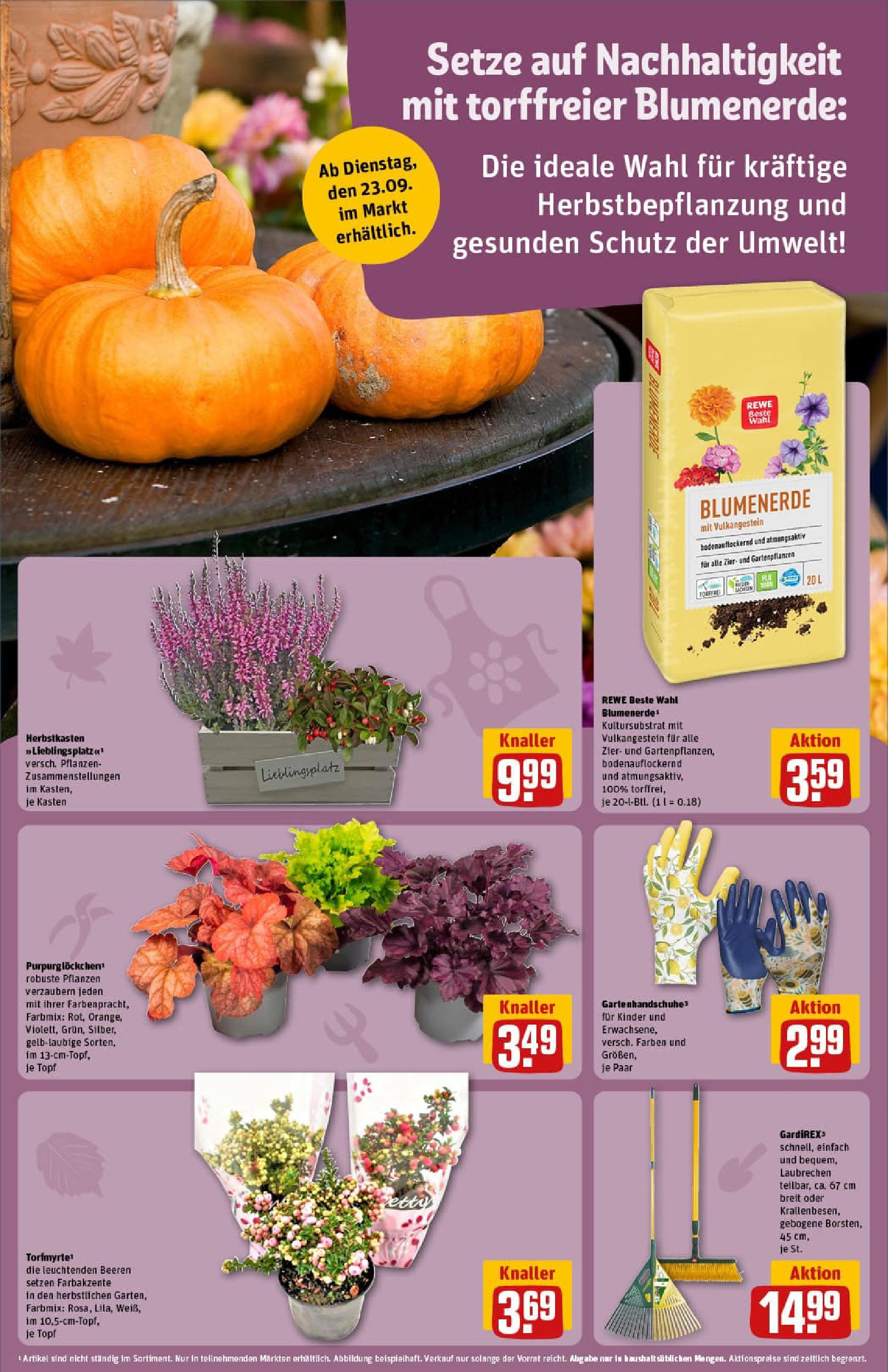 REWE Prospekt ab 21.09.2025 zum Blättern » Angebote | Seite: 15 | Produkte: Blumenerde REWE Prospekt ab 21.09.2025 zum Blättern » Angebote | Seite: 15 | Produkte: Blumenerde