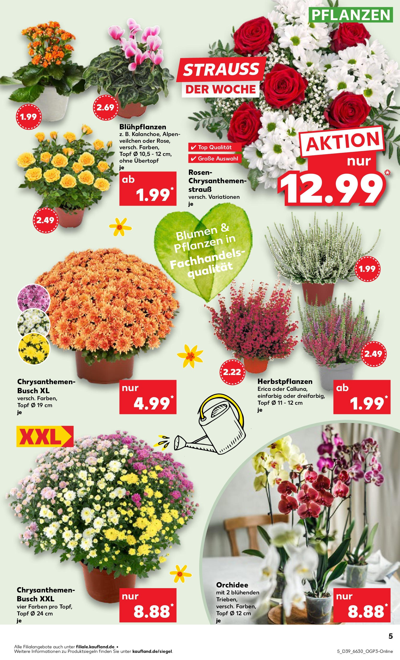 Prospekt Kaufland ab 24.09.2025 » Angebote Online zum Blättern | Seite: 5 | Produkte: Top, Orchidee, Blumen