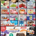 EDEKA Prospekt ab 10.09.2025 - Prospekt Bad Reichenhall Online