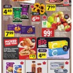 Foodland weekly flyer starting Sep 11, 2025 ⭐️
