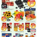 Sobeys Flyer from September 11Sobeys Flyer from September 11- Page 3Sobeys Flyer from September 11- Page 4Sobeys Flyer from September 11- Page 5Sobeys Flyer from September 11- Page 6Sobeys Flyer from September 11- Page 7Sobeys Flyer from September 11- Page 8Sobeys Flyer from September 11- Page 9Sobeys Flyer from September 11- Page 10Sobeys Flyer from September 11- Page 11Sobeys Flyer from September 11- Page 12Sobeys Flyer from September 11- Page 13Sobeys Flyer from September 11- Page 14Sobeys Flyer from September 11- Page 15Sobeys Flyer from September 11- Page 16Sobeys Flyer from September 11- Page 17Sobeys Flyer from September 11- Page 18