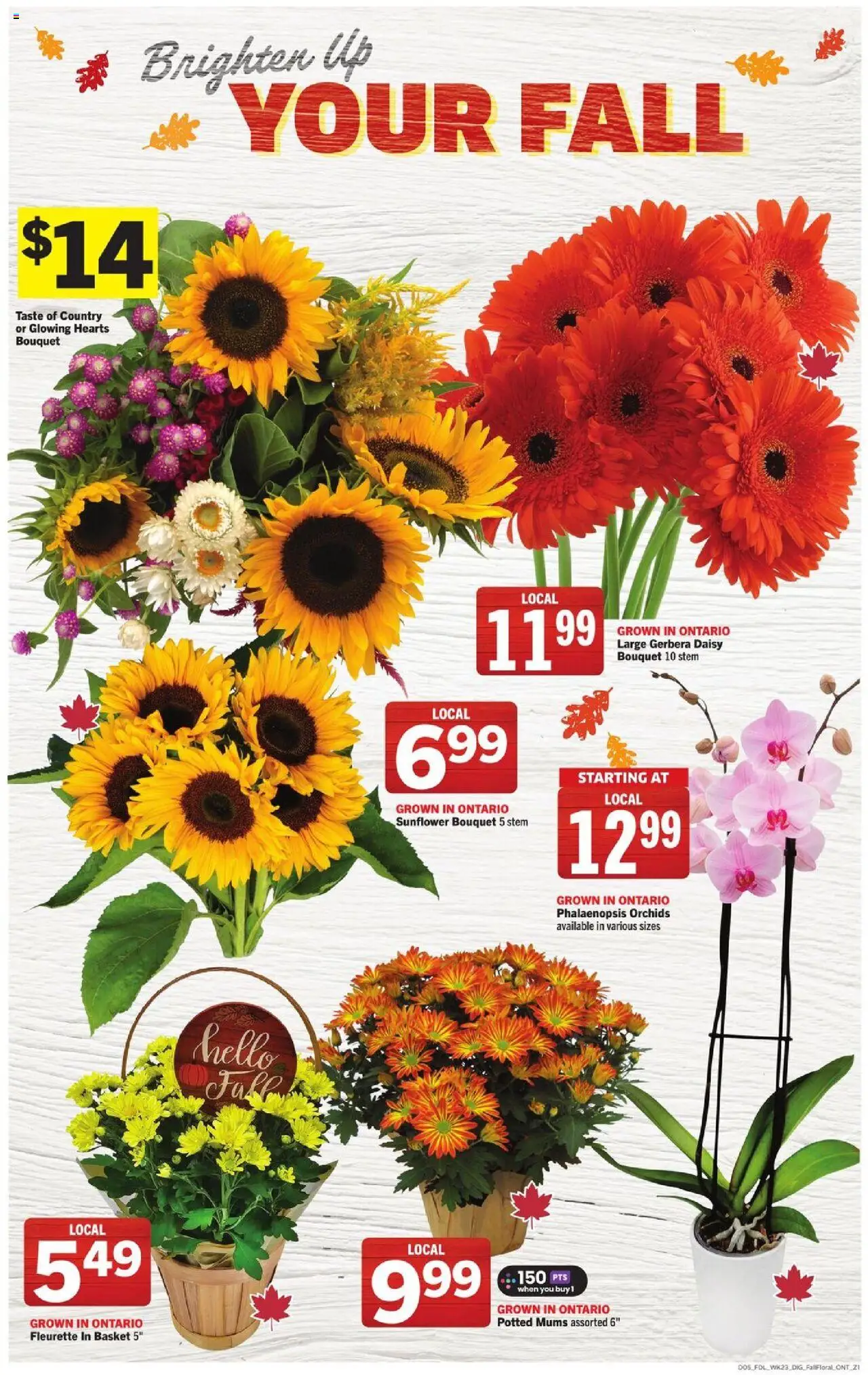 Foodland flyer valid from 02.10.2025 | Page: 6