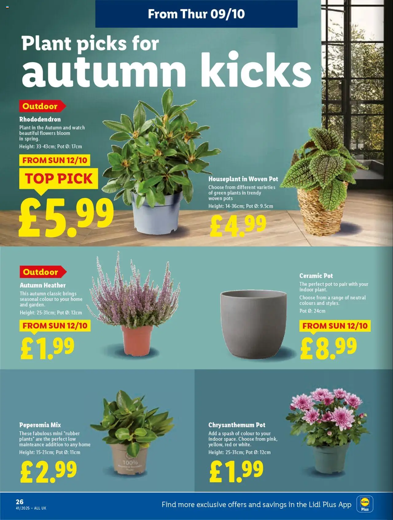 {H1} | Page: 26 | Products: Pot, Watch, Ceramic pot