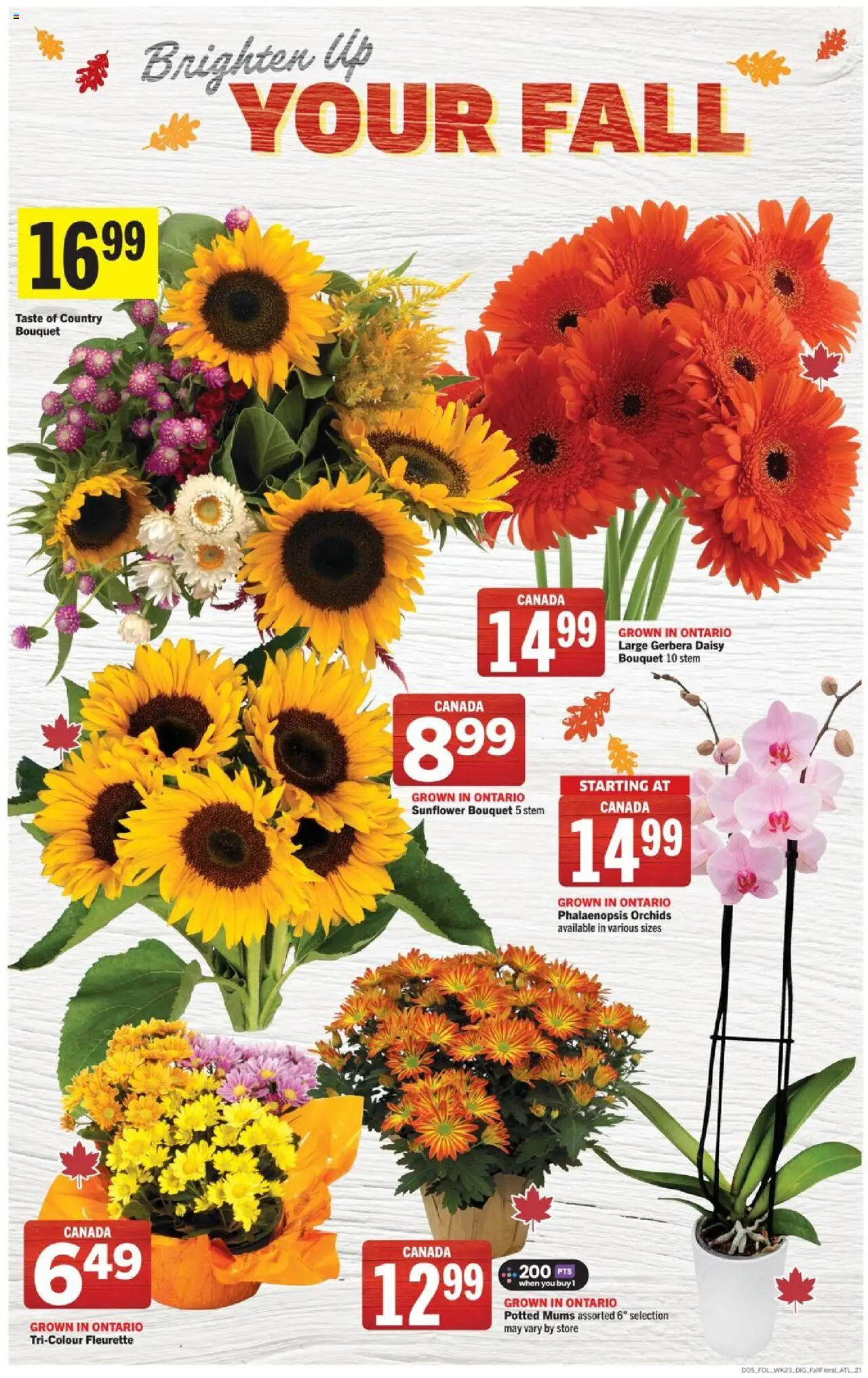 Foodland flyer valid from 02.10.2025 | Page: 12