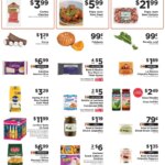 ShopRite Hispanic Online (10/02 – 10/11 2025) – Flyer