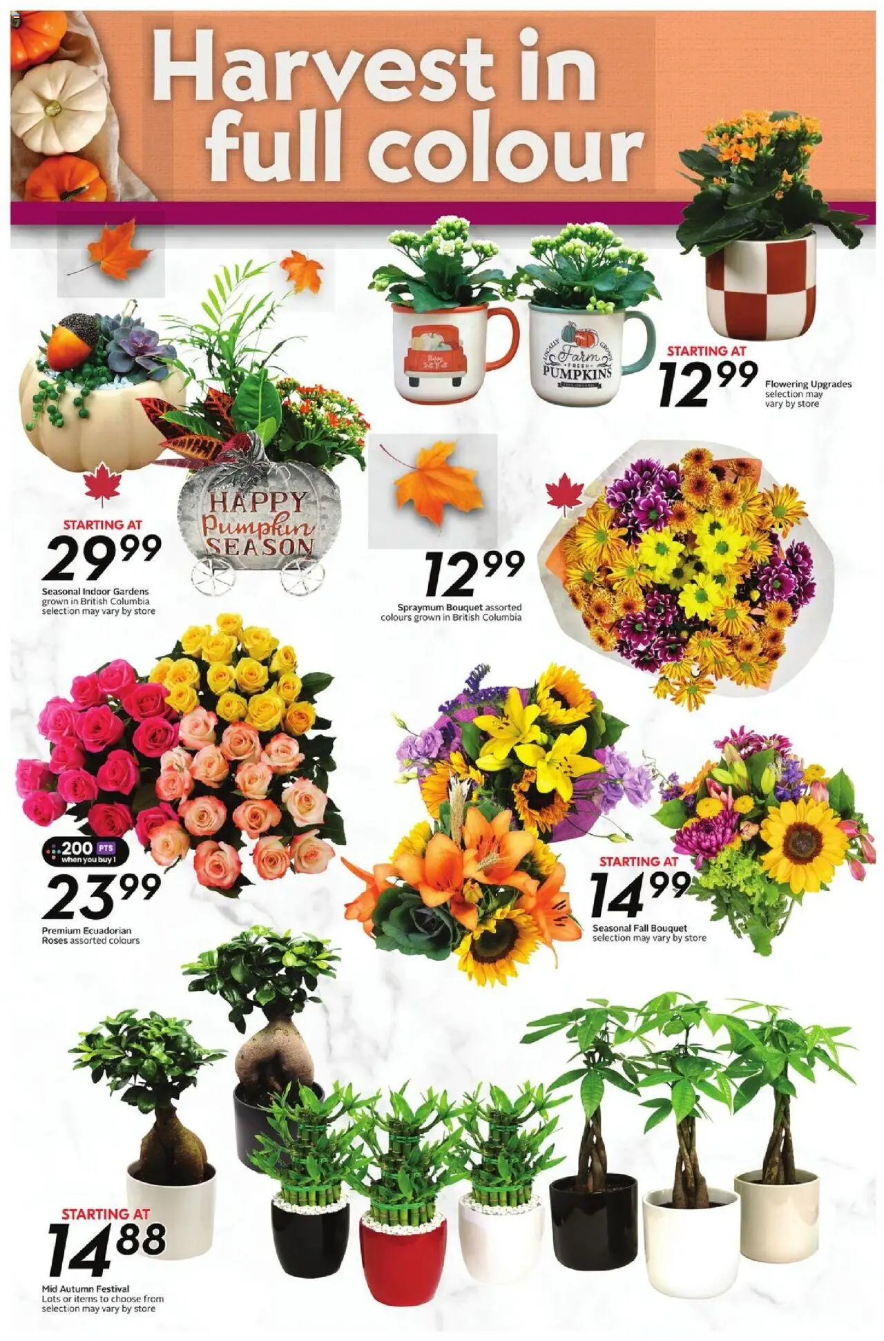 Sobeys flyer valid from 02.10.2025 | Page: 22 | Products: Pumpkin