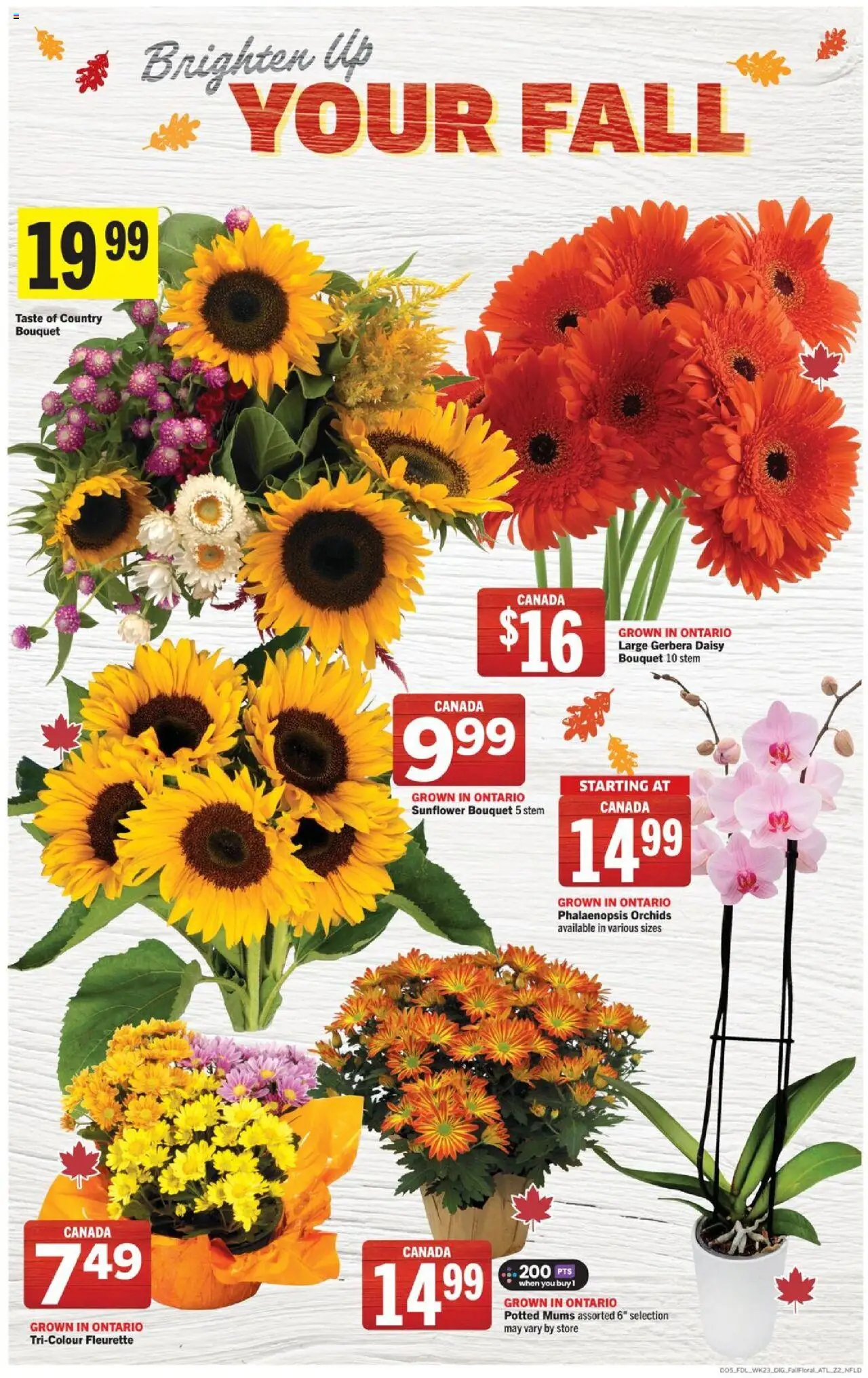 Foodland flyer valid from 02.10.2025 | Page: 12