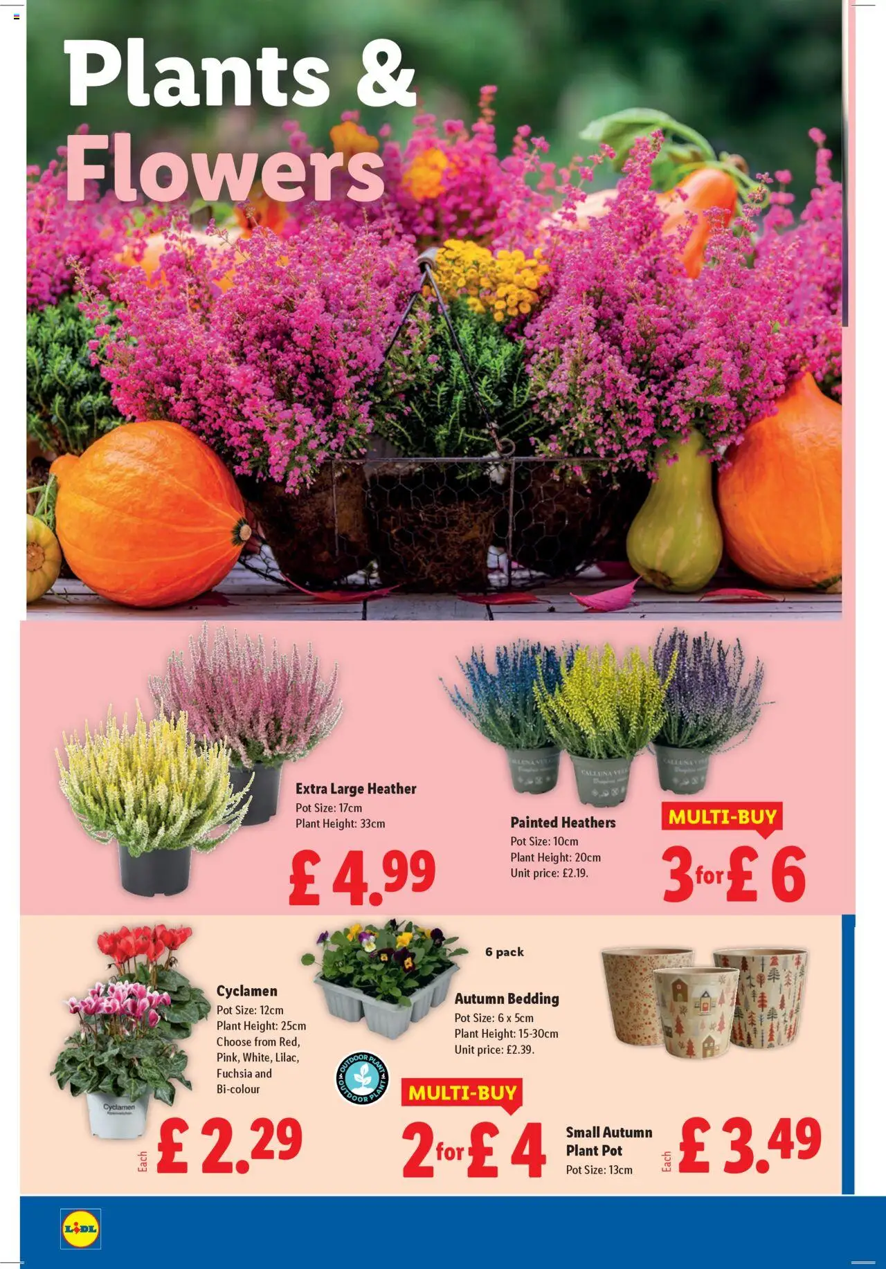 {H1} | Page: 20 | Products: Pot, Plant pot {H1} | Page: 20 | Products: Pot, Plant pot
