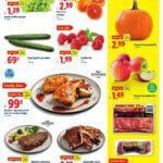 Lidl Weekly Ad (10/08 – 10/14 2025) – Flyer