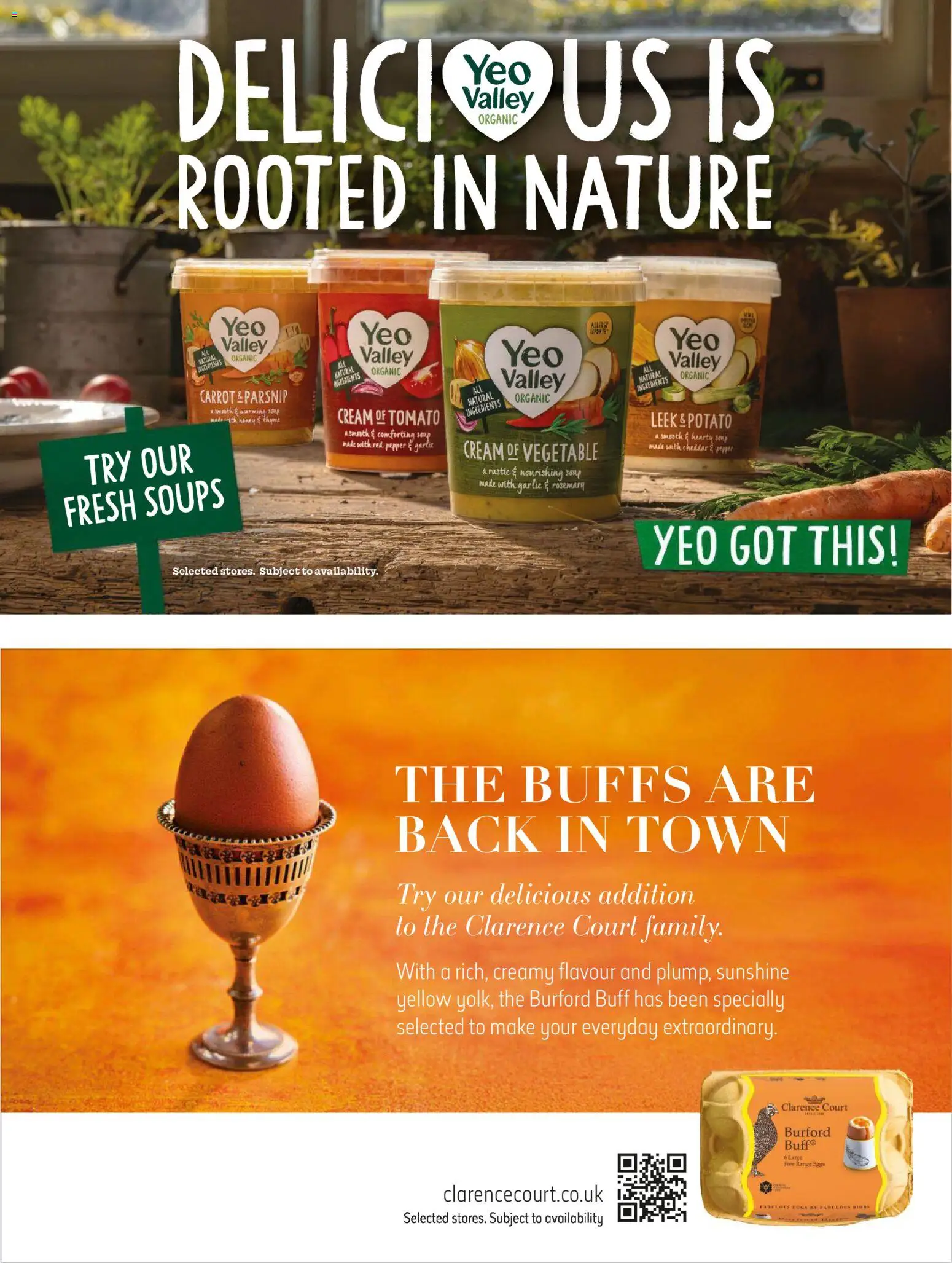 {H1} | Page: 28 | Products: Garlic, Rosemary, Soup, Pepper {H1} | Page: 28 | Products: Garlic, Rosemary, Soup, Pepper