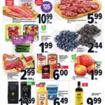 Metro Flyer for this week October 23 – October 29, 2025