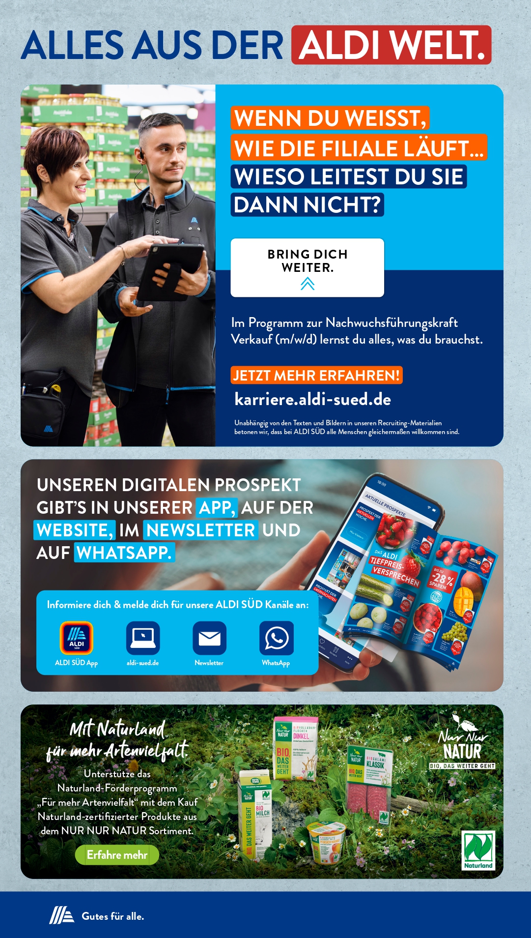 ALDI SÜD Prospekt – Diese Woche gültig vom 3.11.2025 bis 8.11.2025 38