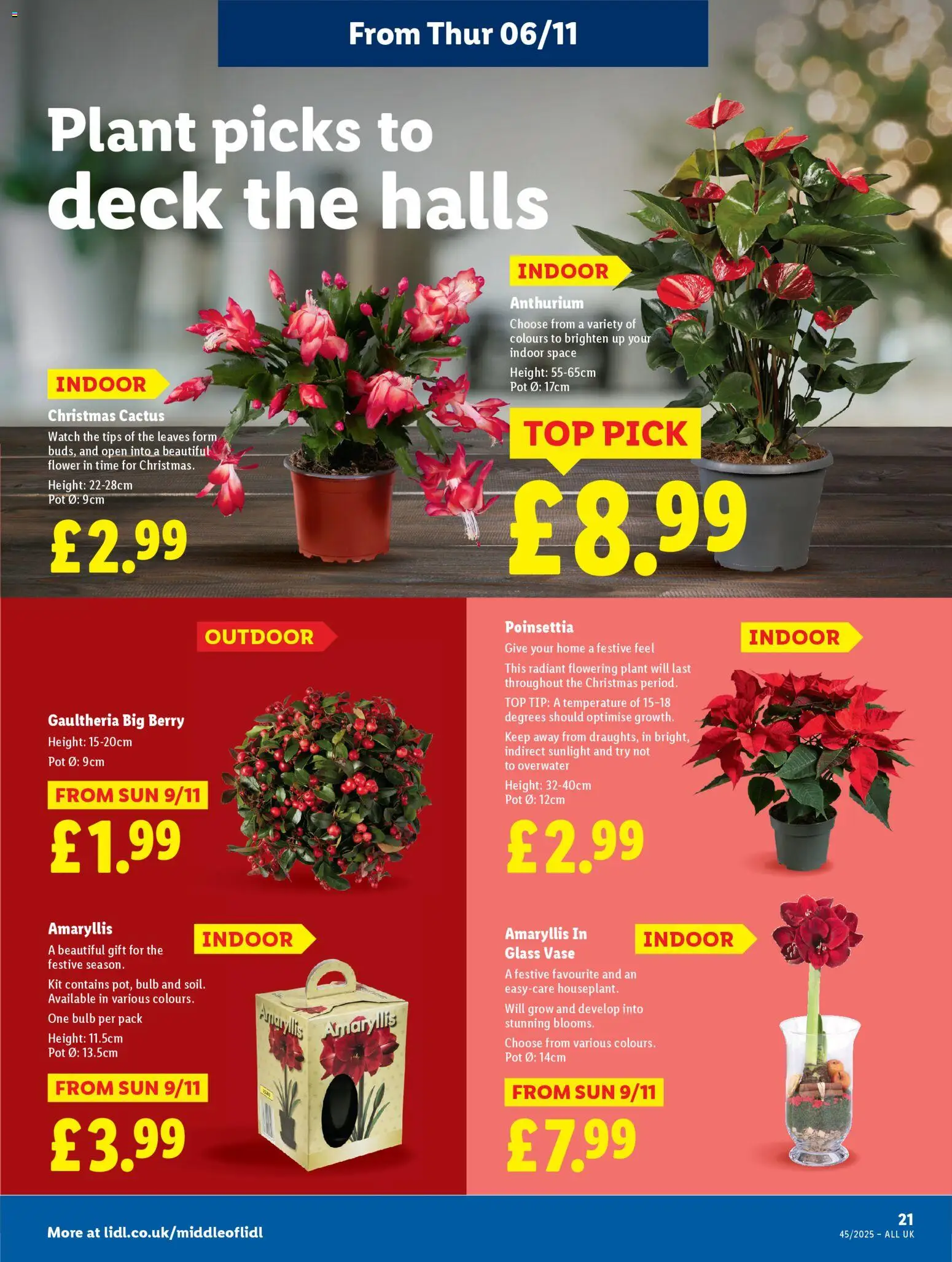 {H1} | Page: 23 | Products: Pot, Vase, Watch