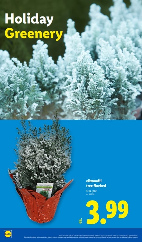 Lidl Weekly Ad November 5 – November 11, 2025 30