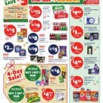 Family Dollar Black Friday Ad Sale 2025