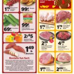 Save A Lot Weekly Ad November 5 – November 11, 2025