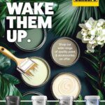 Builders Don’t Cover Walls. Wake Them Up 28 October