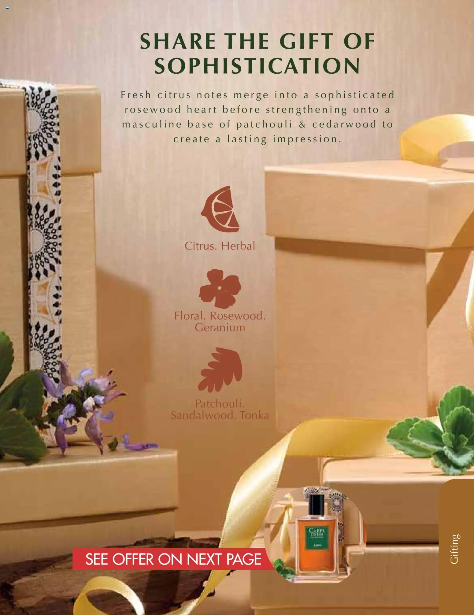 New Justine catalogue – valid from 01.12.2025 | Page: 8 New Justine catalogue – valid from 01.12.2025 | Page: 8