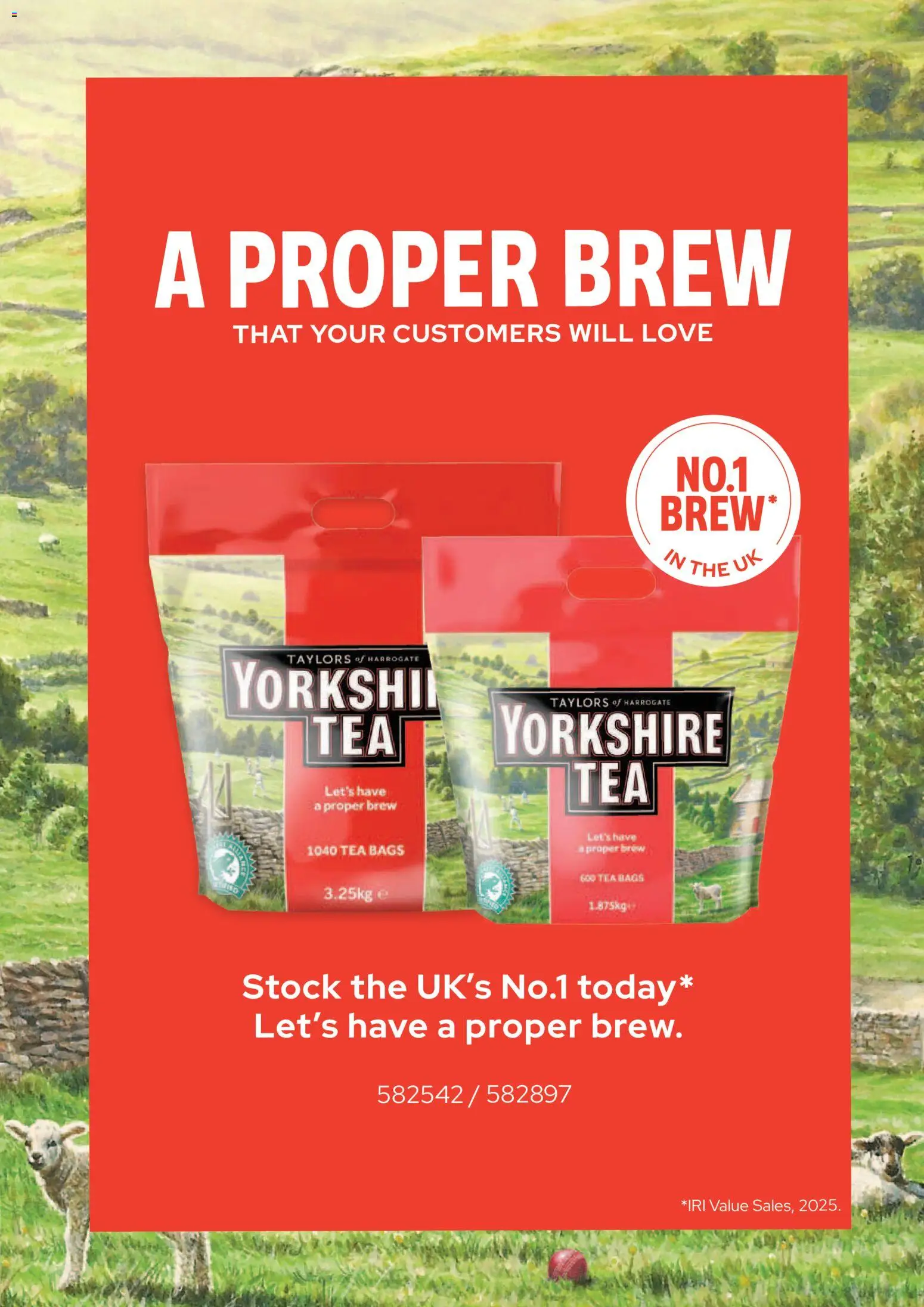 {H1} | Page: 11 | Products: Tea