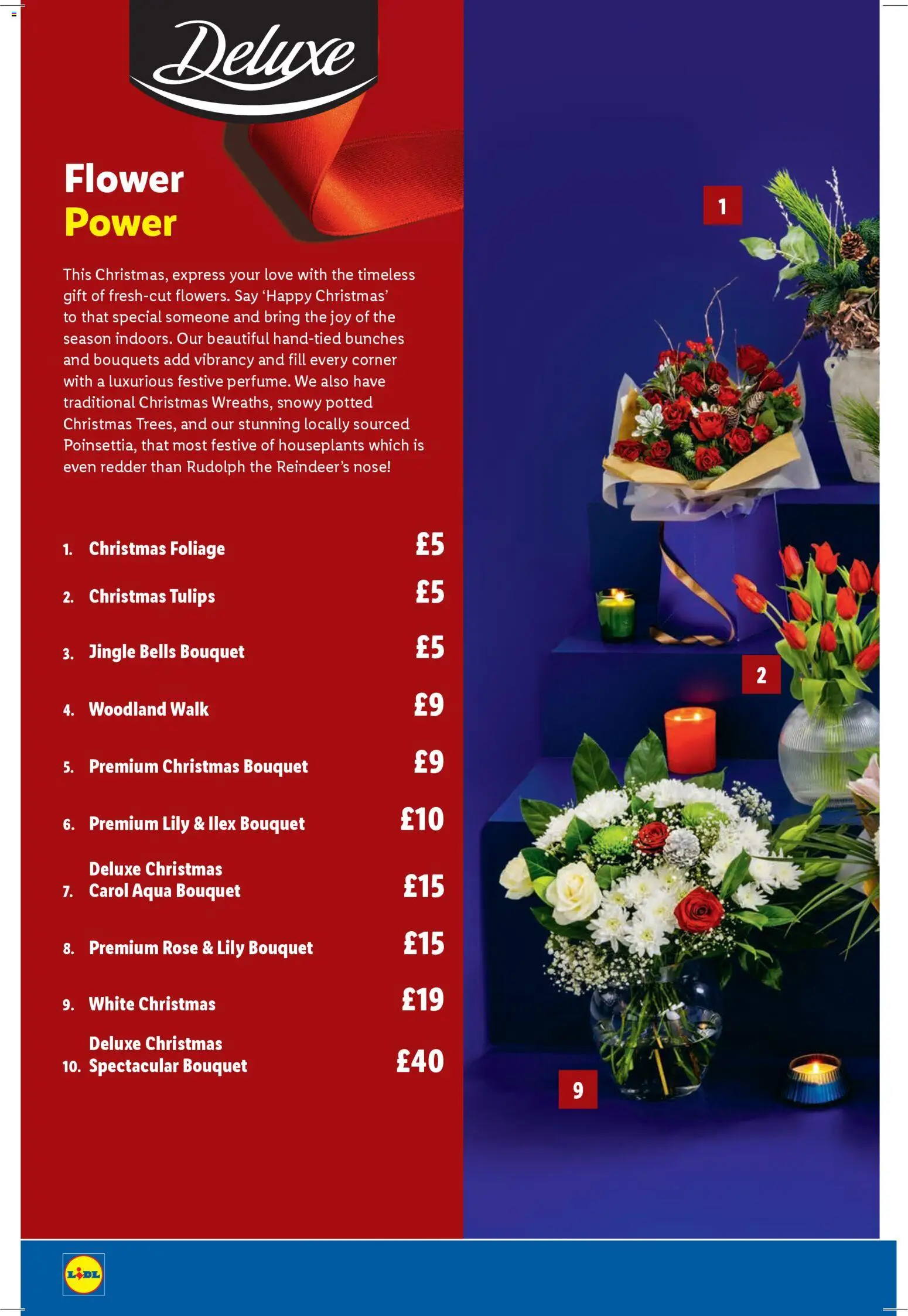 {H1} | Page: 32 {H1} | Page: 32