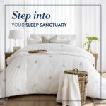 Volpes Step into your sleep sanctuary Monday 22 December