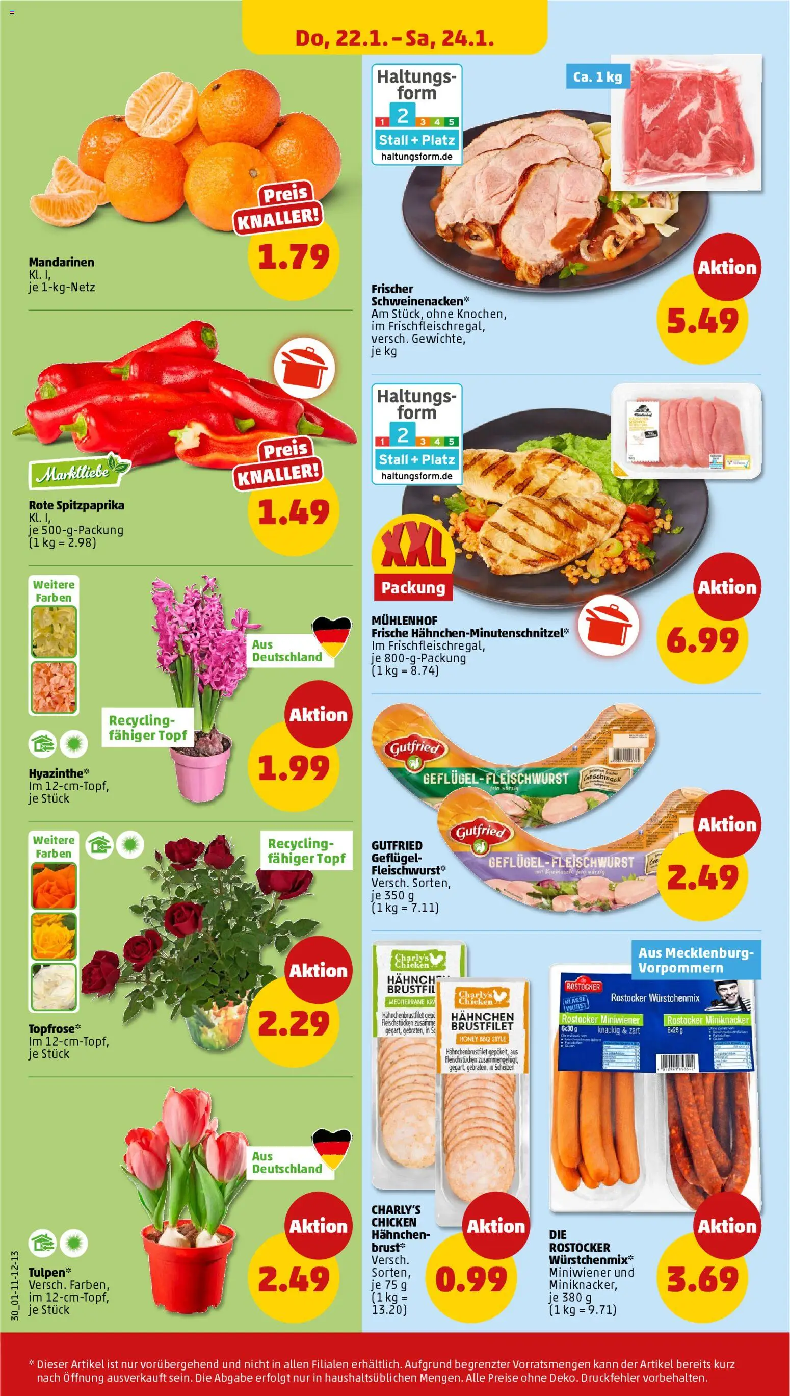 Penny Prospekt 	 – gültig ab 19.01.2026 | Seite: 32 | Produkte: Schweinenacken, Mandarinen, Wurst, Knoblauch