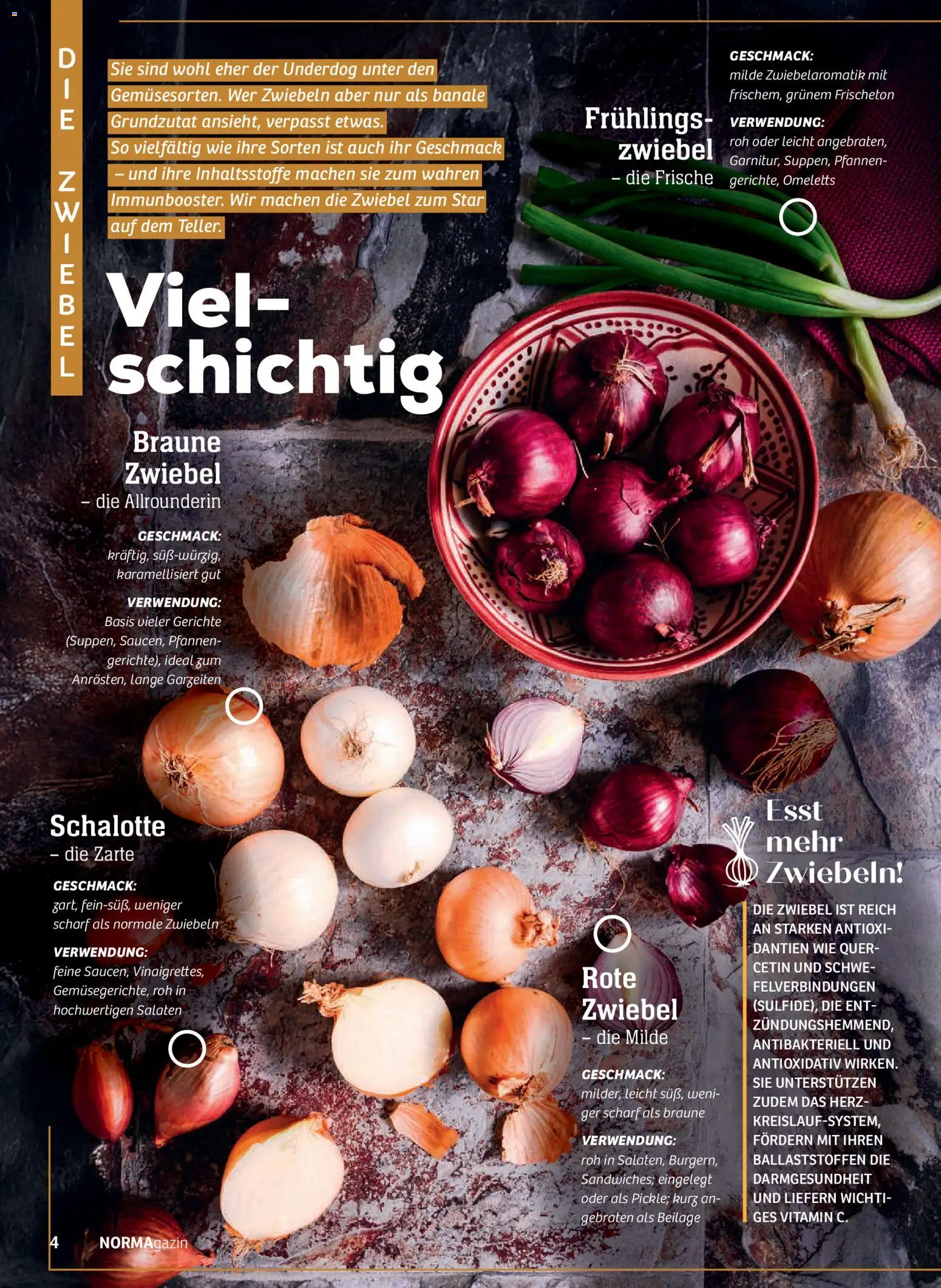 Norma NORMAgazin Januar/Februar 2026 – gültig ab 01.01.2026 | Seite: 4 | Produkte: Zwiebeln