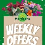 Morrisons – Weekly offers (from Monday 09/02/2026) – Offers Online
