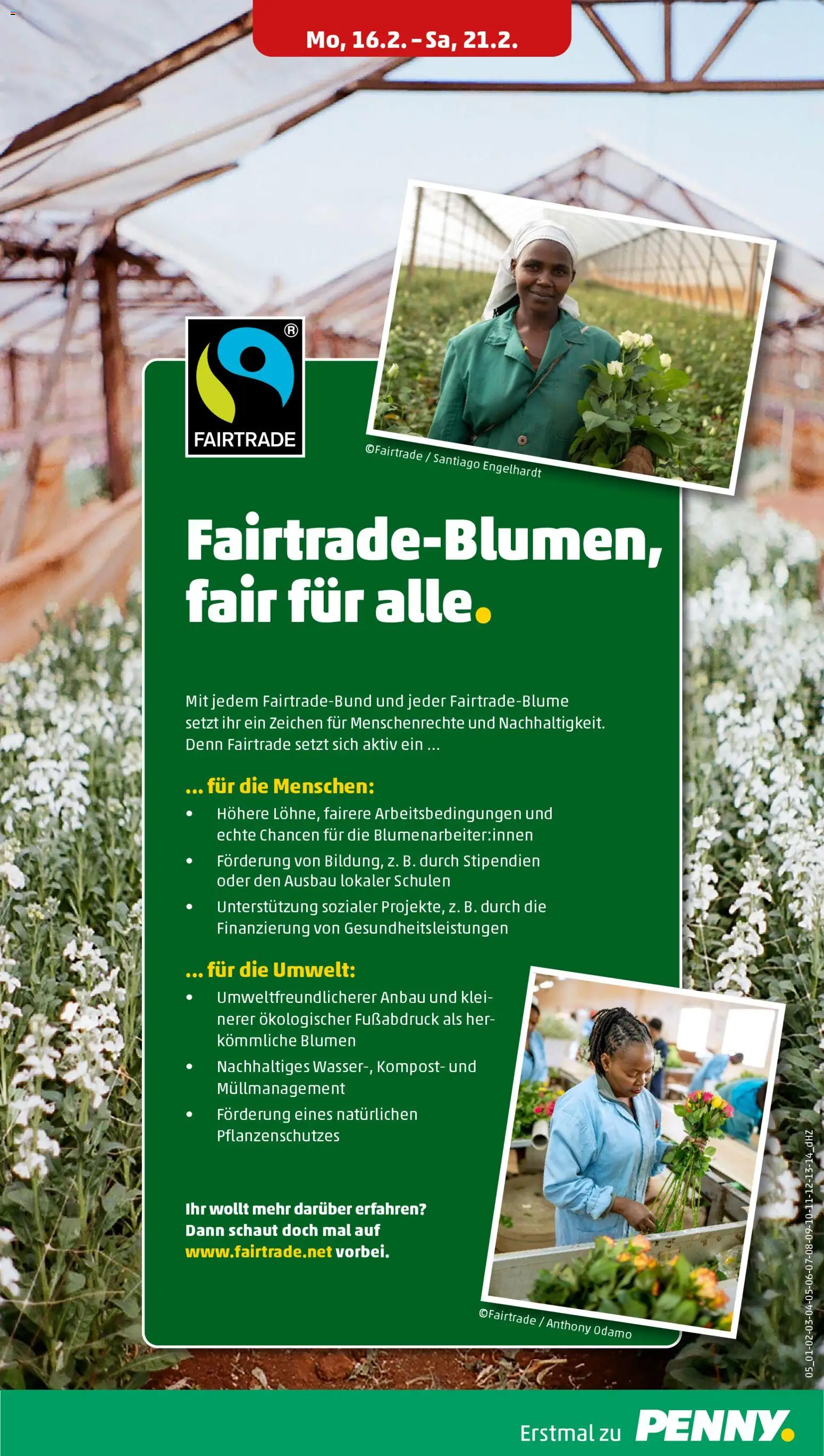Penny Prospekt 	 – gültig ab 16.02.2026 | Seite: 7 | Produkte: Blumen