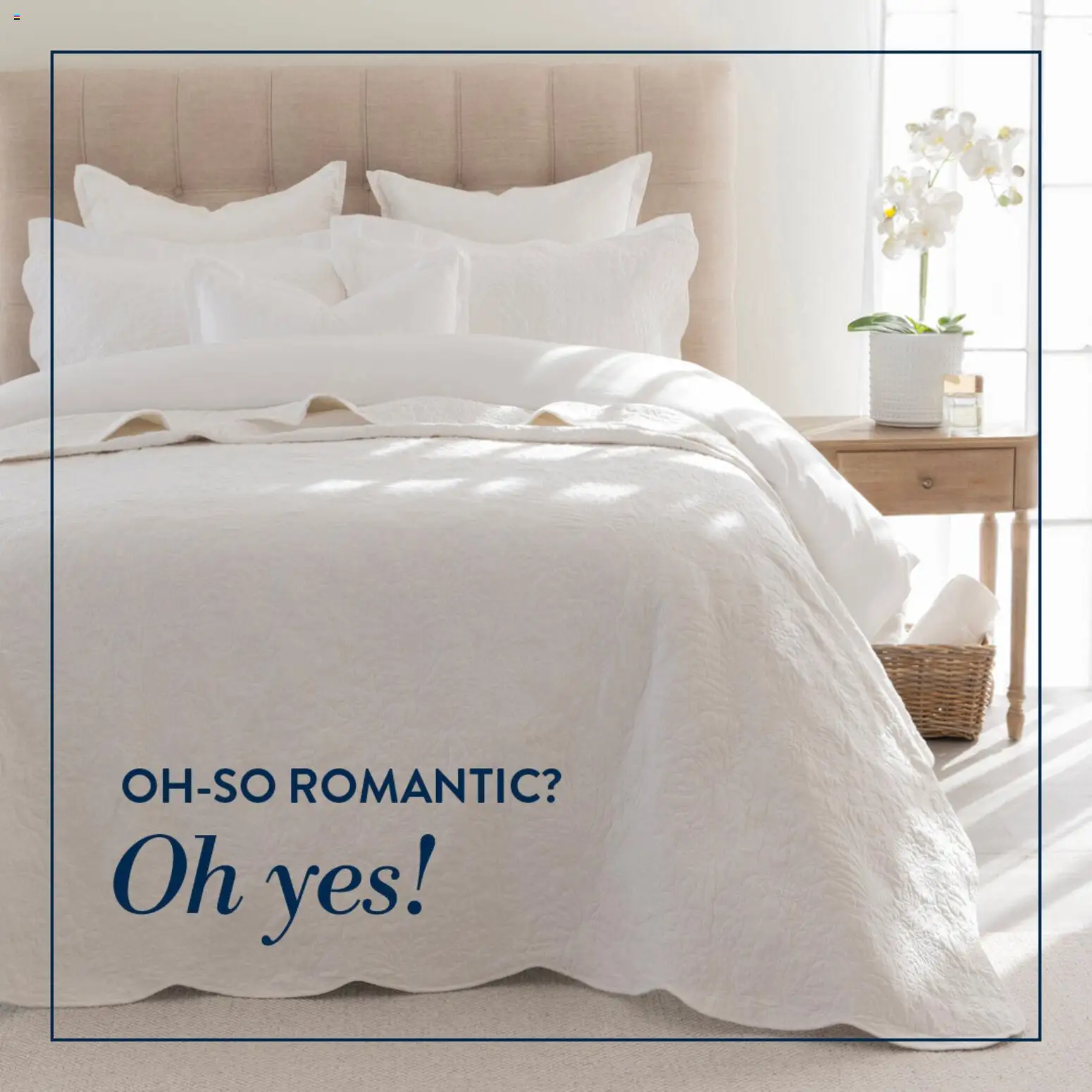 Volpes Oh-so romantic? Oh yes! (from Friday 20/02/2026) Online 1