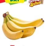 Check Save Market Day (25/02/2026 – 26/02/2026) Online