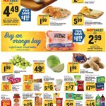 Food Lion Weekly Ad This Week 02/25