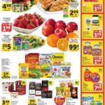 Vons Weekly Ad (03/04 – 03/10 2026) – Flyer