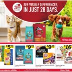 Winn Dixie In-Store Flyer (02/18 – 03/03 2026) – Flyer