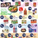 Family Dollar Weekly Ad (03/29 – 04/05 2026) – Flyer