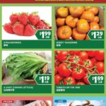99 Ranch Market Weekend Special (02/27 – 03/05 2026) – Flyer