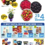 Albertsons Weekly Ad (03/25 – 03/31 2026) – Flyer