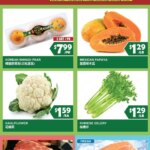 99 Ranch Market Weekend Special (03/27 – 04/02 2026) – Flyer