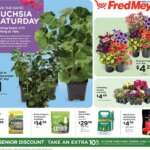 Fred Meyer Home & Apparel (04/01 – 04/14 2026) – Flyer