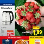 Lidl Weekly Ad (04/08 – 04/14 2026) – Flyer
