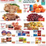 Family Fare Weekly Ad - MI (04/05 - 04/11 2026) - Flyer 3 Family Fare Weekly Ad – MI (04/05 – 04/11 2026) – Flyer