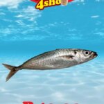 Check Save Seafood Specials (07/04/2026 - 12/04/2026) Online 3 Check Save Seafood Specials (07/04/2026 – 12/04/2026) Online